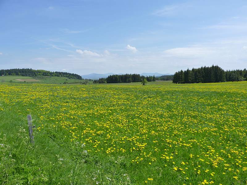 Auvergne : Le Puy-en-Velay