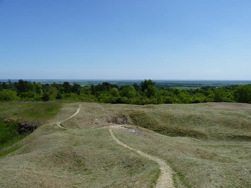 Champagne : Verdun