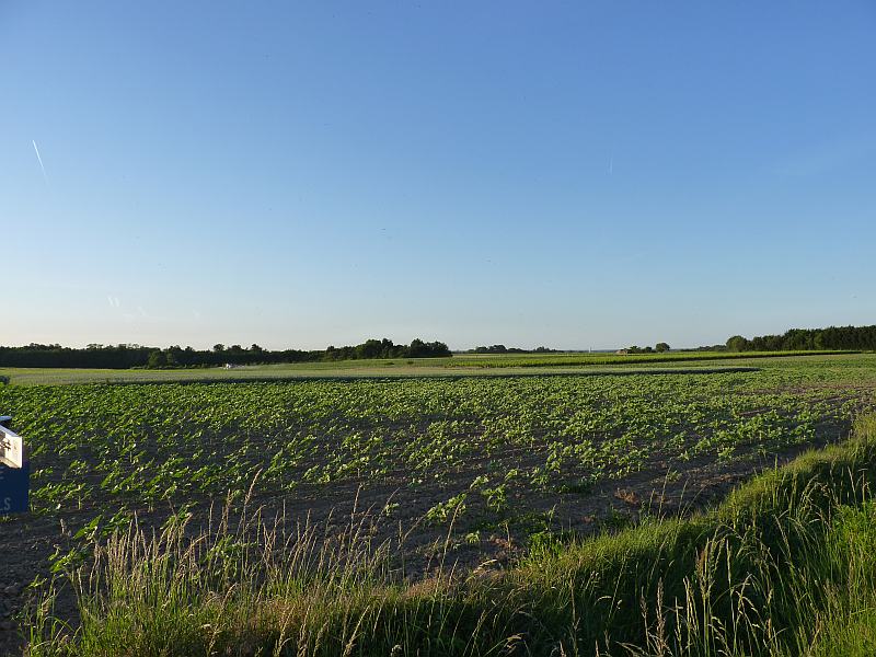 Loire : Chaumont