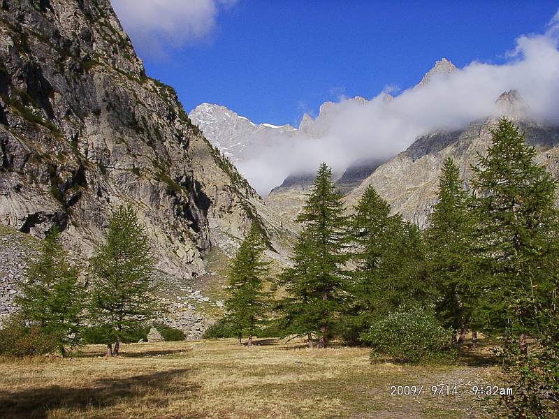 Alpen : Carle