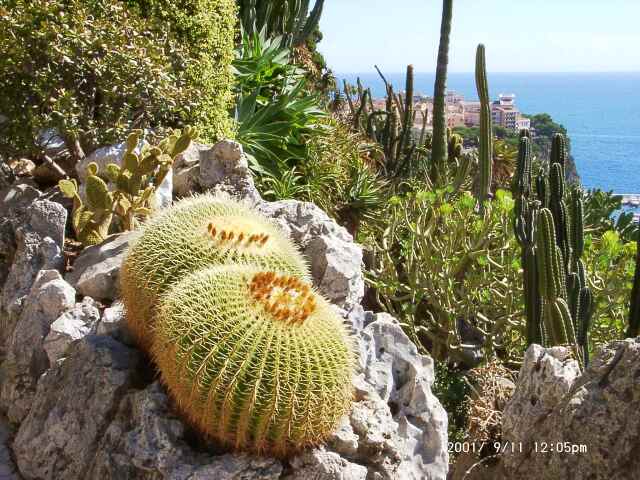 Monaco (Côte d'Azur)