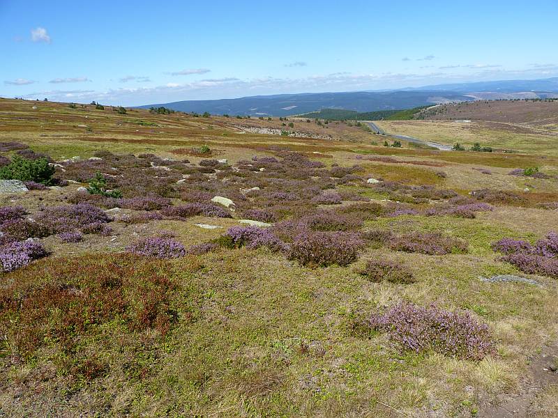 Cevennen : Mont Lozere