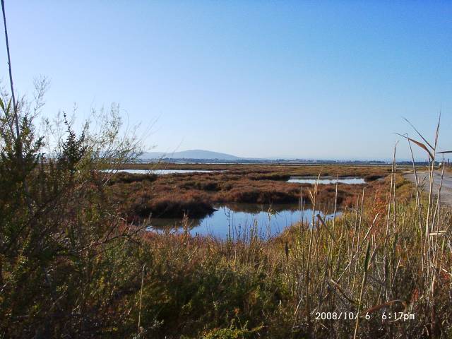 Camargue : Landschaft